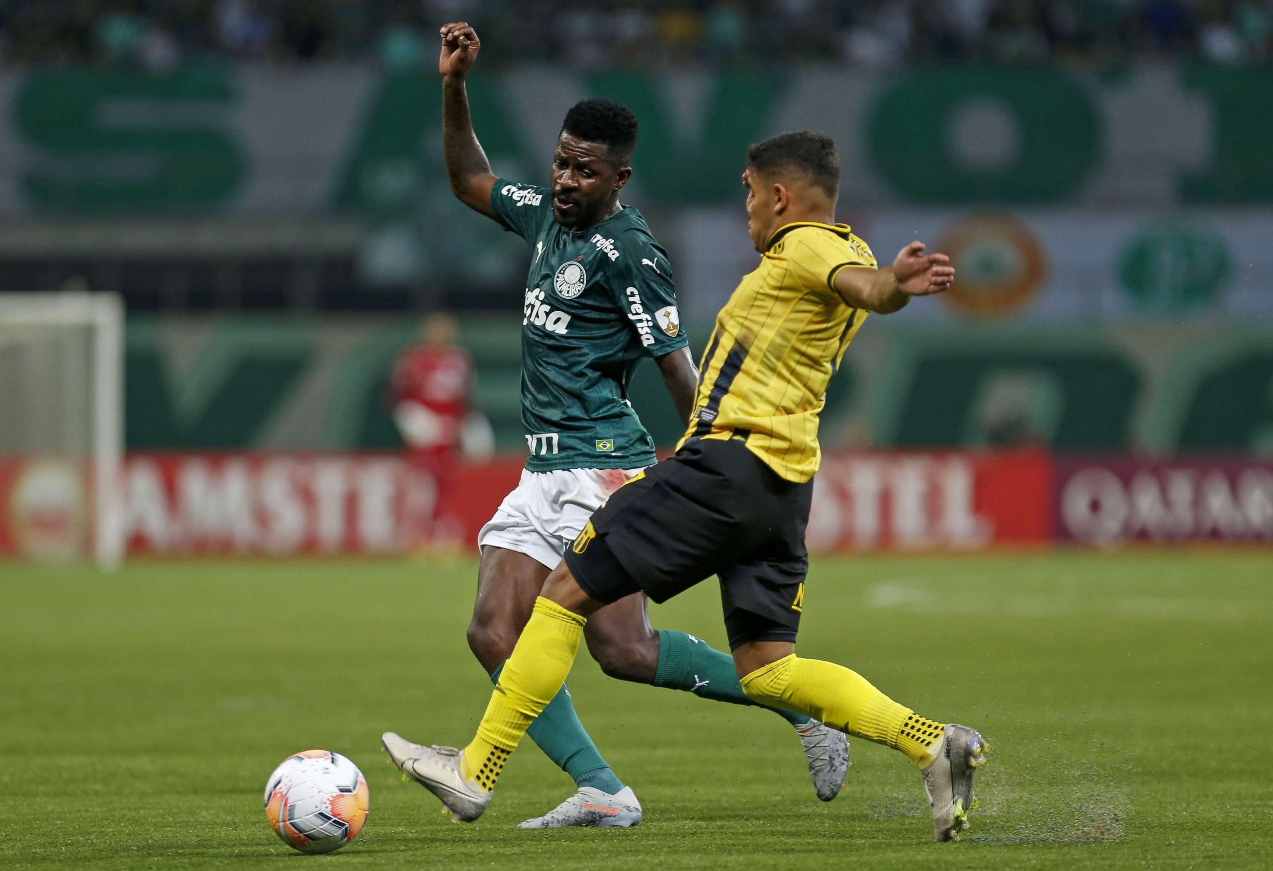 Soi kèo, dự đoán Palmeiras vs Bolivar