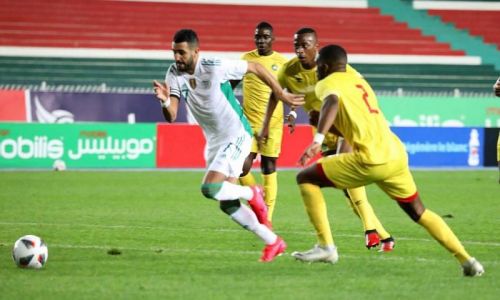 Soi kèo, dự đoán Zimbabwe vs Algeria, 20h00 ngày 16/11 Vòng loại Cúp châu Phi