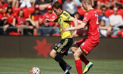 Soi kèo, dự đoán Adelaide vs Wellington Phoenix, 16h35 ngày 7/5 VĐQG Australia