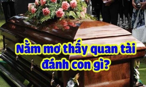 Mơ thấy quan tài đánh con gì trúng lớn? Giải mã giấc mơ chi tiết