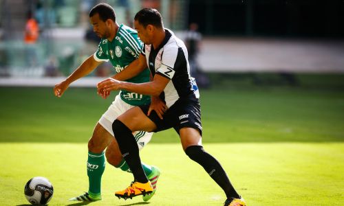 Soi kèo, dự đoán Botafogo vs Palmeiras, 7h30 ngày 8/10 VĐQG Brazil