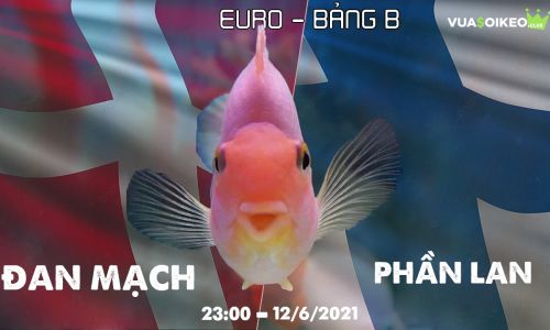 Cá vàng tiên đoán Đan Mạch vs Phần Lan, 23h00 ngày 12/6/2021 - Bảng B EURO 2020