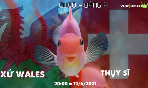 Cá vàng tiên đoán Xứ Wales vs Thụy Sĩ, 20h00 ngày 12/6/2021 - Bảng A EURO 2020