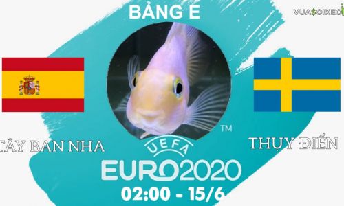 Cá vàng tiên đoán Tây Ban Nha vs Thụy Điển, 02h00 ngày 15/6/2021 - Bảng E EURO 2020