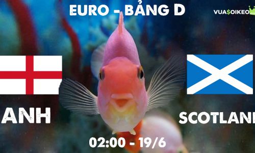 Cá vàng tiên đoán Anh vs Scotland, 02h00 ngày 19/6/2021 - Bảng D EURO 2020