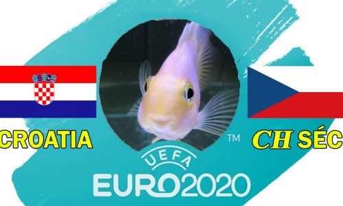 Cá vàng tiên đoán Croatia vs CH Séc, 23h00 ngày 18/6/2021 - Bảng D EURO 2020