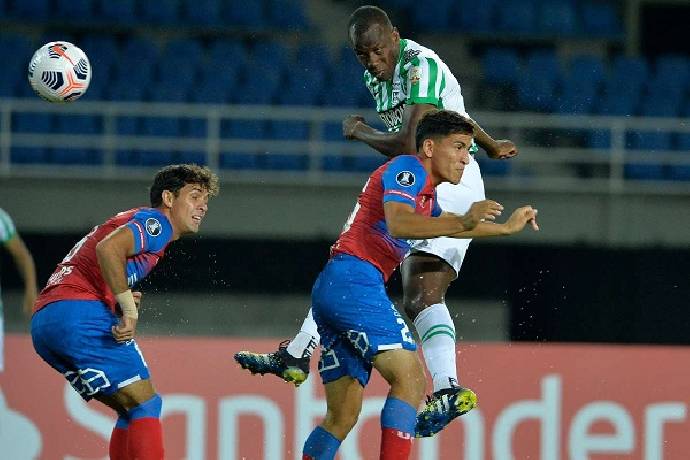 soi-keo-du-doan-catolica-vs-palmeiras-