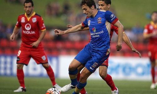 Soi kèo, dự đoán Adelaide vs Newcastle Jets, 15h15 Ngày 13/3 VĐQG Úc