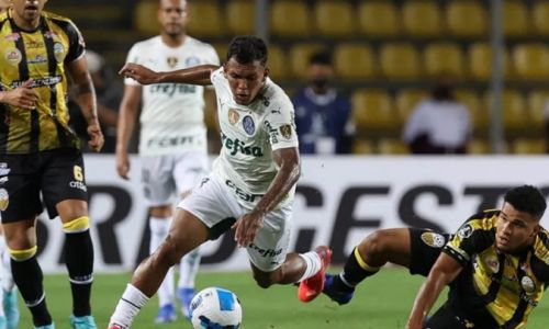 Soi kèo Santos vs Deportivo Tachira, 7h30 Ngày 7/7 Copa Sudamericana