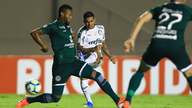 soi-keo-du-doan-palmeiras-vs-goias-