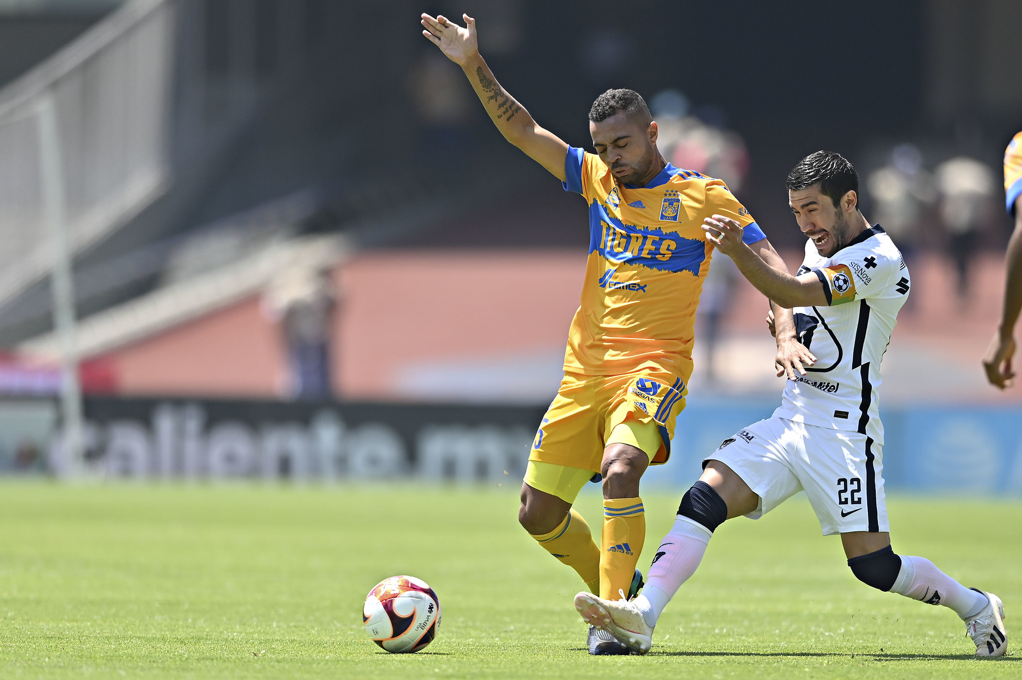 Soi kèo, dự đoán Pumas vs Tigres