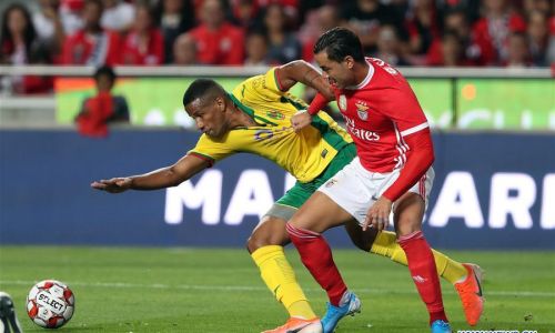 Soi kèo, dự đoán Pacos Ferreira vs Benfica, 3h15 ngày 27/1 VĐQG Bồ Đào Nha