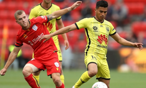 Soi kèo, dự đoán Adelaide United FC vs Wellington Phoenix, 15h45 Ngày 17/3 VĐQG Úc