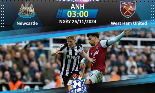 Soi kèo bóng đá Newcastle vs West Ham 03h00 ngày 26/11/2024: Chích chòe hót vang